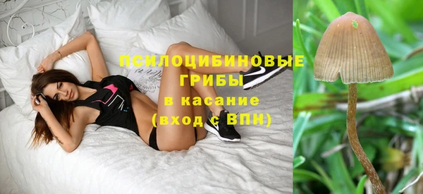 марки lsd Покачи