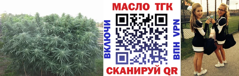 Купить где  Балаково  ТГК THC oil 